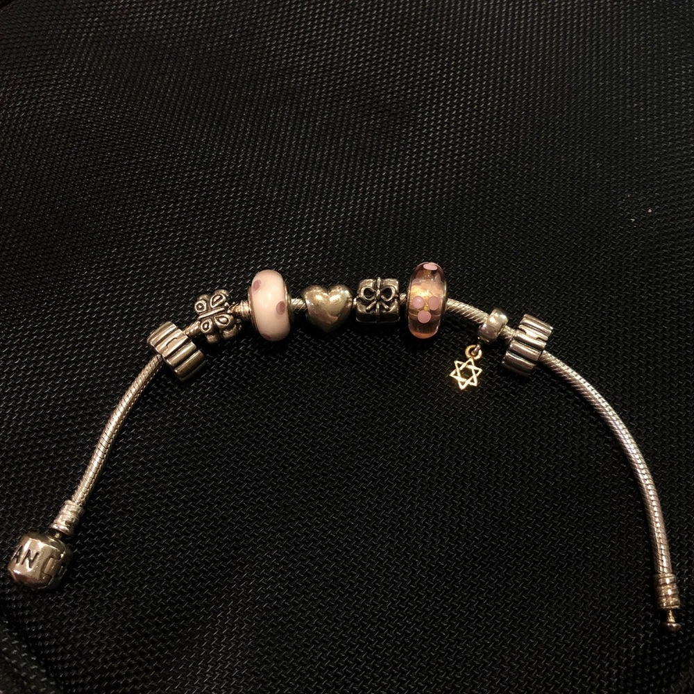 Pandora Bracelet-Charms available individually too